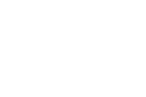 VoipyLogoWhiteTRANSP